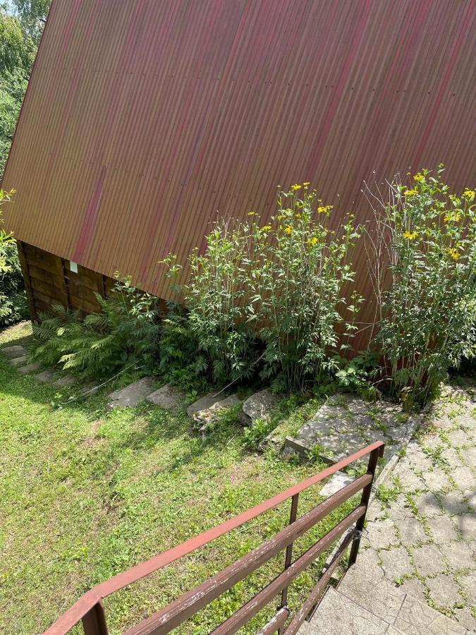 Domek na górze z pięknym widokiem Bukowiec  Exterior foto